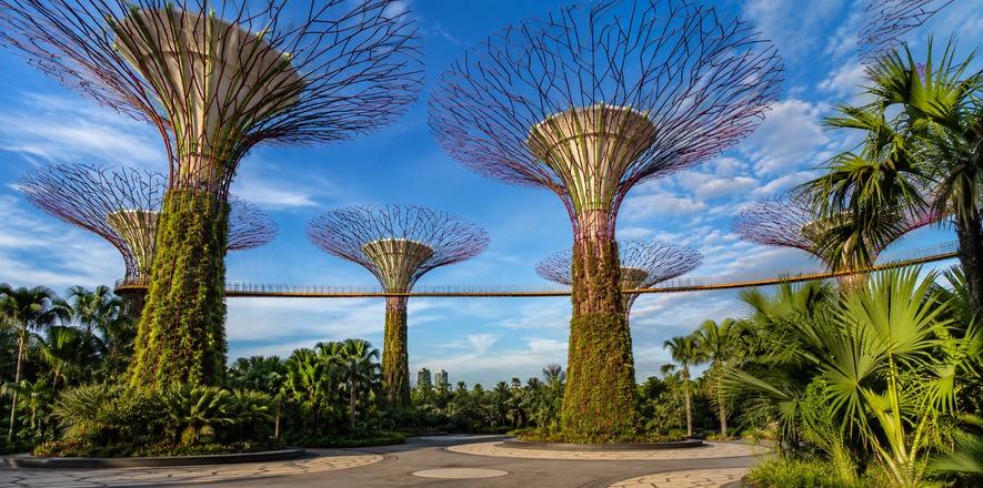 03-gardens-by-the-bay-supertrees.jpg