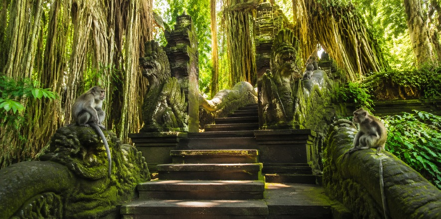 02_sacred_monkey_forest.jpg