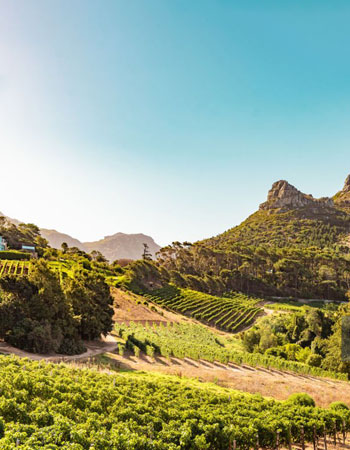 تور های آفریقایی