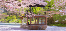 تور لوکس ژاپن(ازتهران) - img