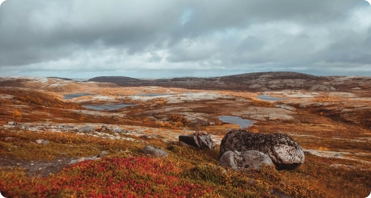 پارک ملی Lovozerskaya Tundra